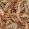 Canlı teke balık yemi,Teke solucanı kullanımı,Dip balıkçılığı teknikleri,Canlı yem kullanımı,Balık avı ekipmanları,Teke balık yemi nasıl kullanılır,Balık tutma ipuçları,Dip balıkçılığı taktikleri,Su kenarı balıkçılığı,Canlı teke avcılığı,Deniz balıkçılığı yöntemleri,Dip avı için canlı yemler ,Teke solucanı saklama yöntemleri,Balık yemi temini,Canlı teke balıkçılık ipuçlar