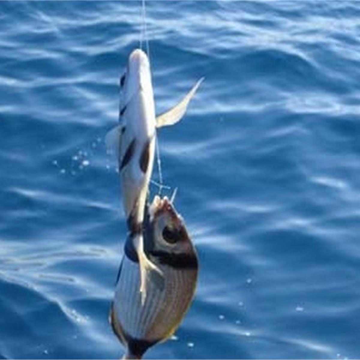 büyükcekmece tekne turu