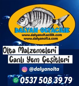 cin kurdu Bayii,log worm bayii,canlı cin kurdu bayii