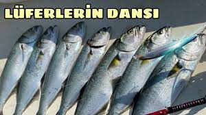 büyükcekmece tekne turu