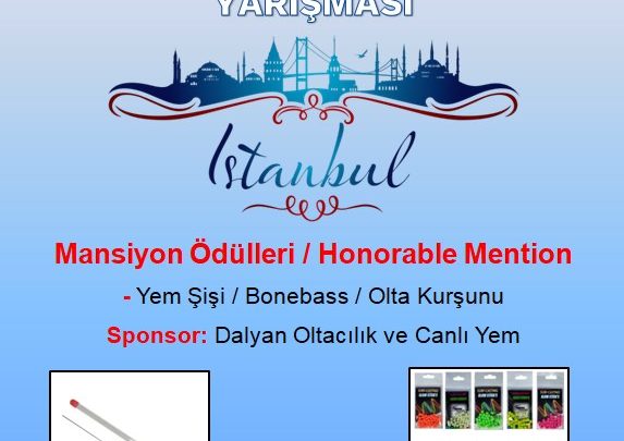 Surf Casting Teknikleri,Sahilden Balık Avlama,Surf Olta Takımı,Uzak Atış Teknikleri,Surf Casting Makineleri,Surf Olta Kurulumu,En İyi Surf Casting Kamışı,